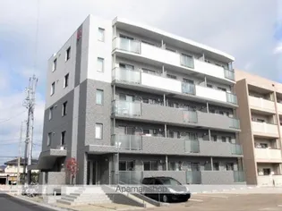 AMUZA STELLAの画像